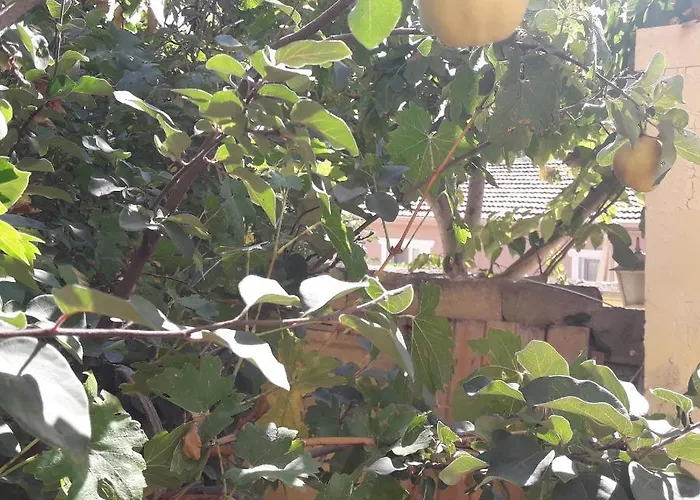 Apollo Village Cappadocia Göreme